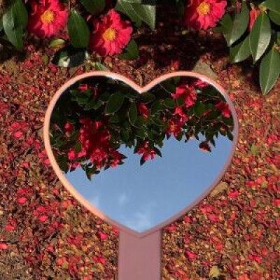 银河棋牌app下载截图