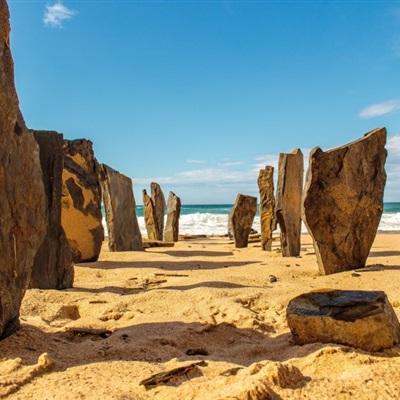 pg棋牌软件平台官方版下载