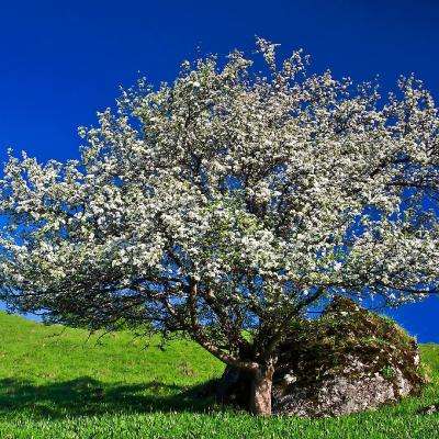 必博手机网页版app下载